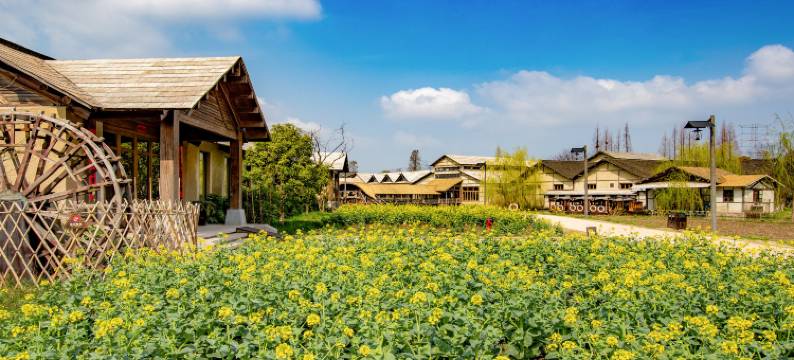 乌镇乌村稻舍乡村酒店图片