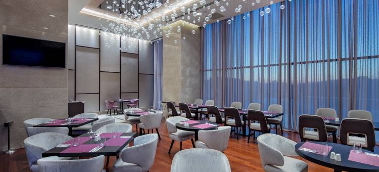 伊斯坦布尔乌姆拉尼耶希尔顿逸林酒店(Doubletree by Hilton Istanbul Umraniye)图片