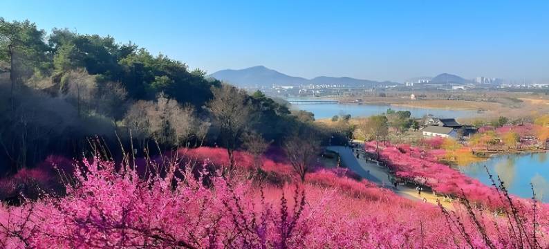如家睿柏·云酒店(张家港金港中央广场店)图片