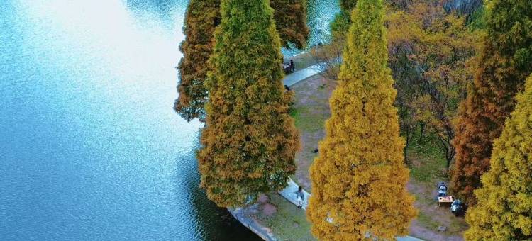 夕宿·金融城盛佰嘉精品酒店(观山湖区会展城银行北街店)图片