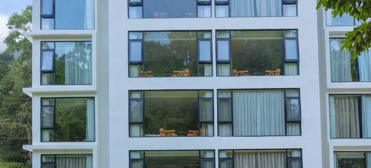 德天61号名宿(德天瀑布店)图片