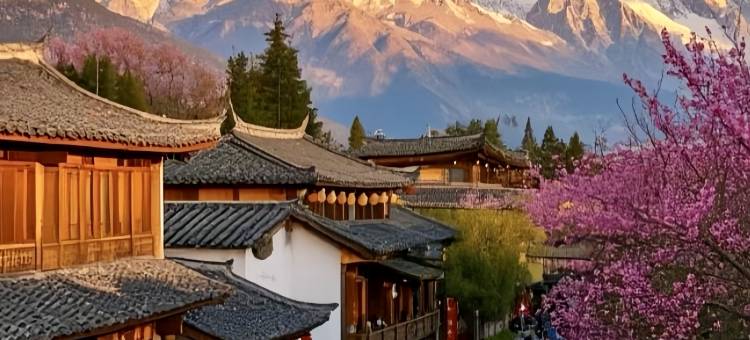 心悦·Mid villa观雪山|山野诧寂风设计师民宿(古城大水车店)图片