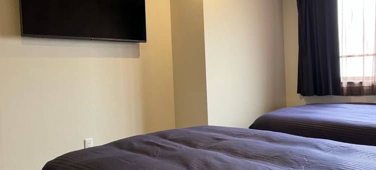 利夫马克斯经济型酒店-梅田店(HOTEL LiVEMAX BUDGET Umeda)图片