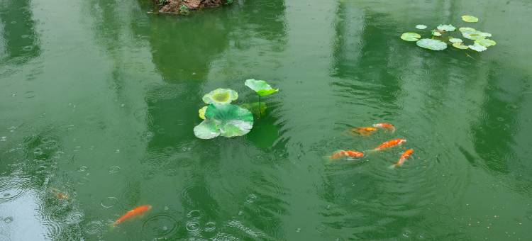 都市花园酒店(万平口高铁站店)图片