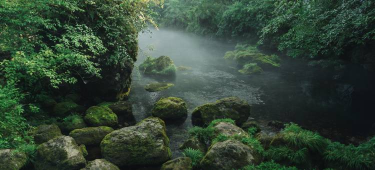 洪雅七里坪远山云驿民宿(零公里店)图片