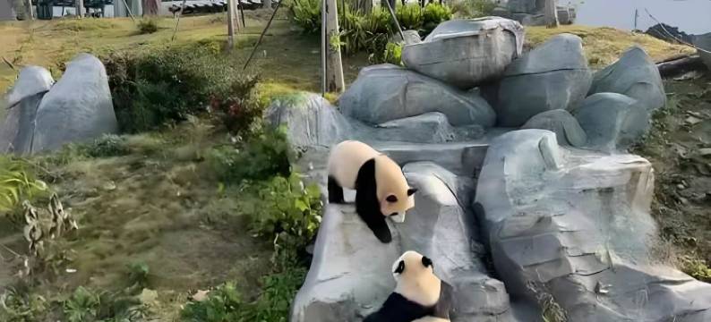 青皮树酒店(岳阳楼步行街店)图片