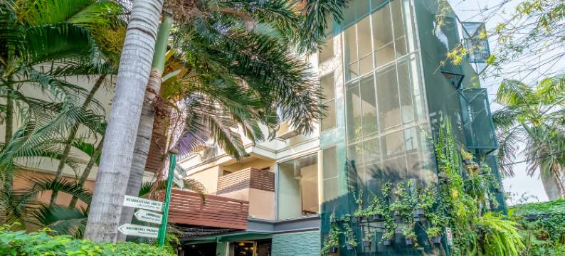 棕榈酒店(The Palm Hotel)图片