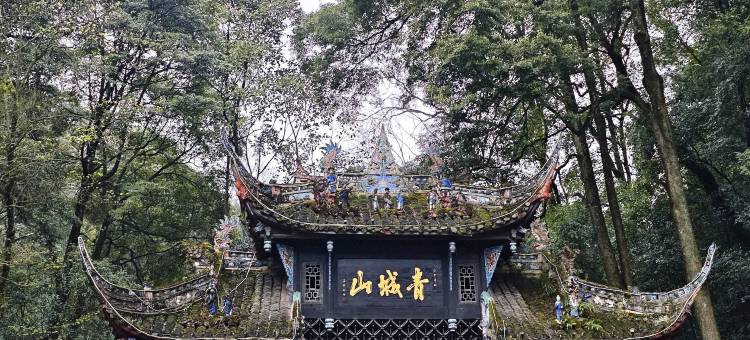 成都春熙路voco酒店图片