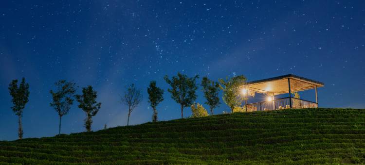 述野·隐世野奢度假营地(崇阳店)图片