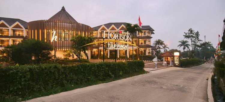 邦加山Horison郁金香度假村(Horison Resort Tulip Puncak)图片