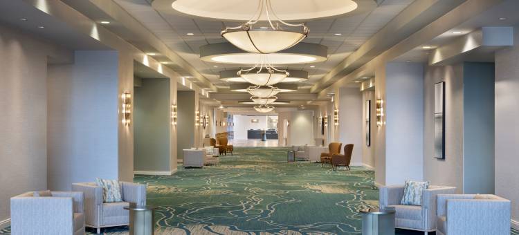 圣马科斯酒店及会议中心希尔顿安泊酒店(Embassy Suites by Hilton San Marcos Hotel Conference Center)图片