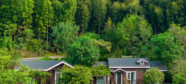 新县大别山露营公园酒店图片