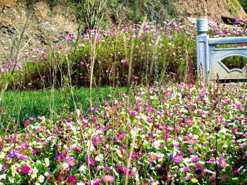 花筑·唐拉颇章·悬崖藏地民宿(牟尼沟风景区店)图片