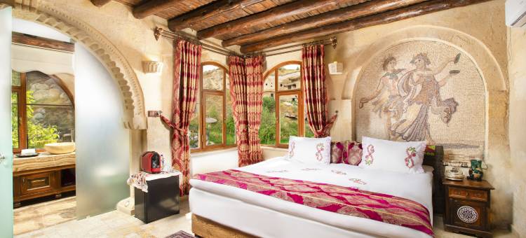 加米拉苏洞穴酒店(Cappadocia Gamirasu Cave Hotel)图片