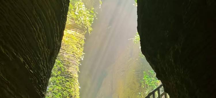 叙龍·HOTEL(五粮液酒厂店)图片