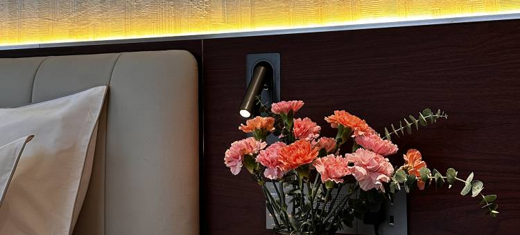 金银岛国际大酒店(东莞虎门会展中心店)图片