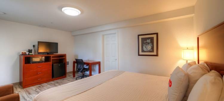 OYO纽波特旅馆-101号高速公路(Newport Inn by OYO - Hwy 101)图片