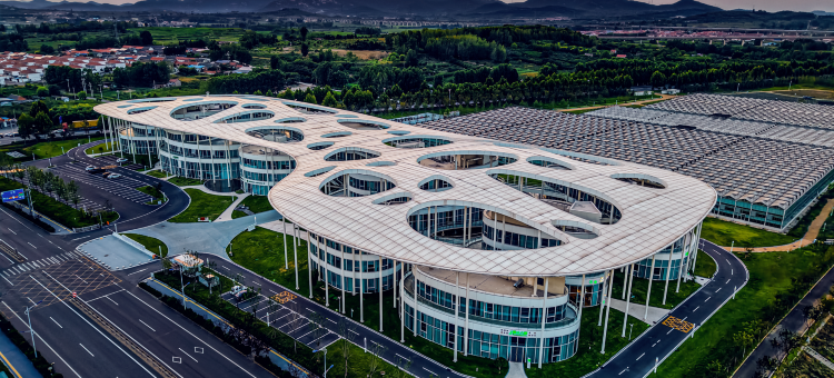 白玉兰酒店(日照茶叶科创示范园店)图片