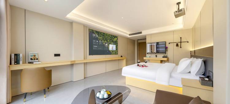 丰顺希岸智享轻居酒店图片