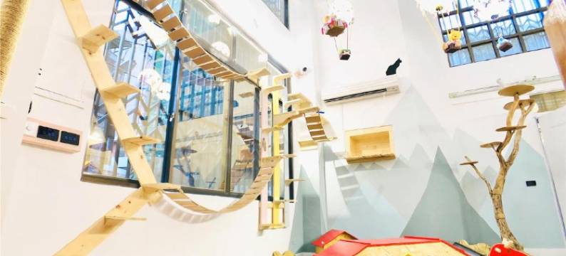 台南蜗聚宠物亲子民宿图片