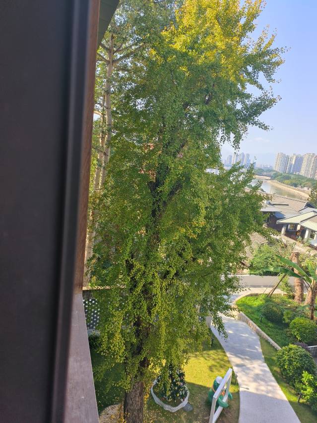 臻庭酒店(福州烟台山店)图片