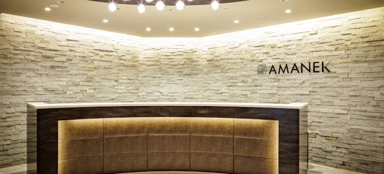 大阪难波酒店阿玛内克(HOTEL AMANEK Osaka Namba)图片