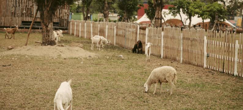 Lux Home Harbor Bay图片