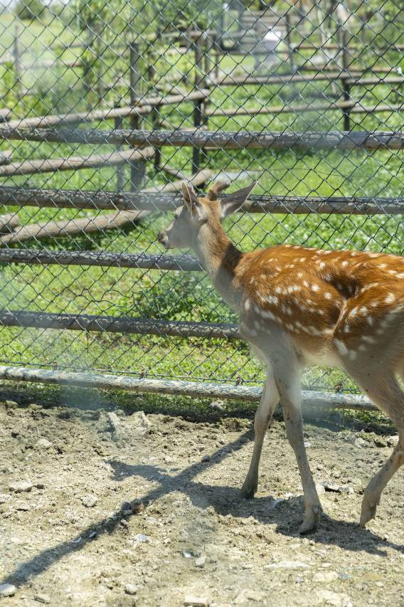 杭州天目山英迪格酒店图片