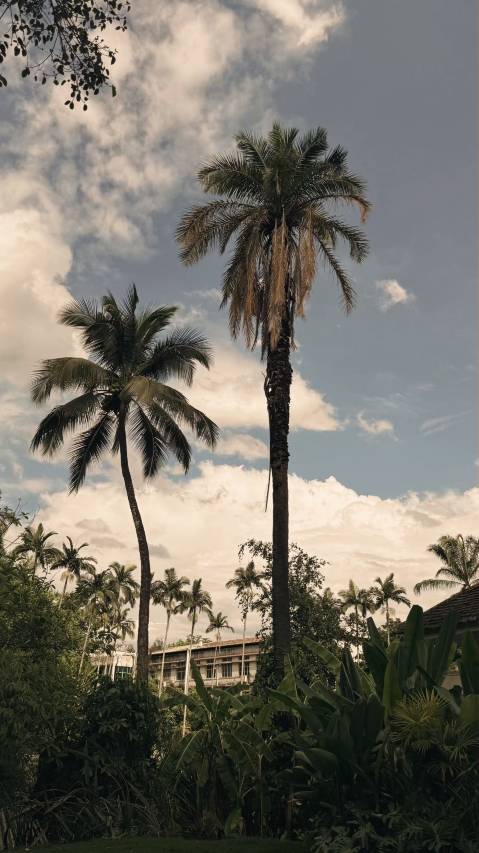 云朵星畔高空泳池度假酒店(西双版纳景洪告庄西双景星光夜市店)图片
