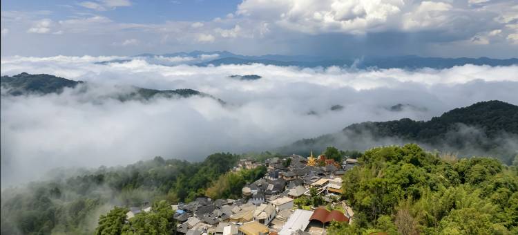 大豫仓·二十四茶海赏云宿(澜沧景迈山古树茶林店)图片