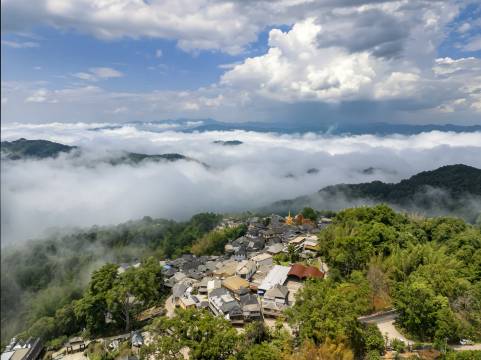 大豫仓·二十四茶海赏云宿(澜沧景迈山古树茶林店)图片