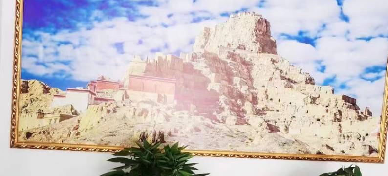 札达星程酒店图片