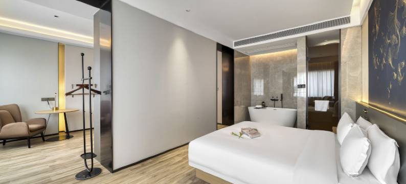 安吉国际假日酒店(九州昌硕广场店)图片