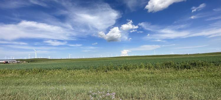 蒙古天籁大营图片