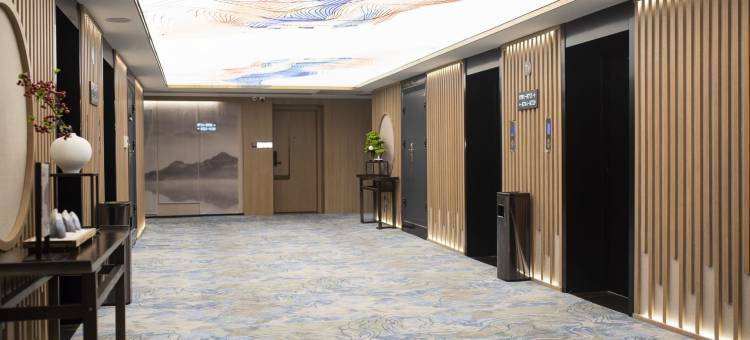 泰德维斯酒店(青山万达广场正翔国际店)图片