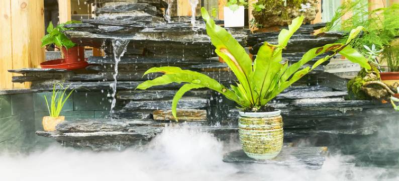 青城山语君·七月民宿图片