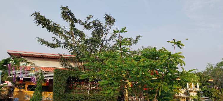 瑞维度假村(Review Resort)图片
