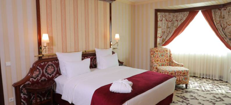 塔什干城市宫殿酒店(City Palace Hotel Tashkent)图片