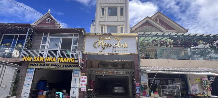 吴家安酒店大叻(Ngoc Anh Hotel Da Lat)图片