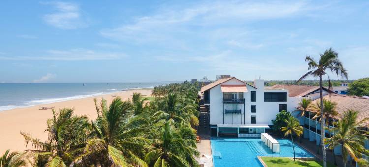 蓝色捷翼(Jetwing Blue)图片