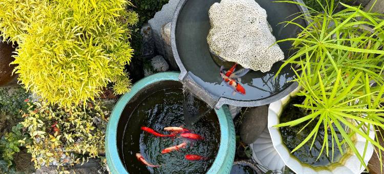 朗香洋房 台南安平法式民宿图片