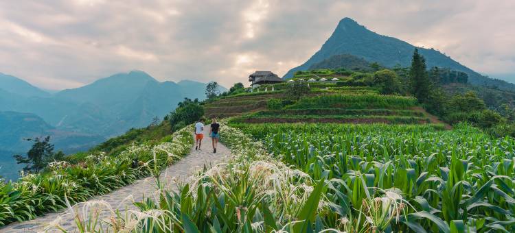 TOPAS生态度假村(Topas Ecolodge)图片