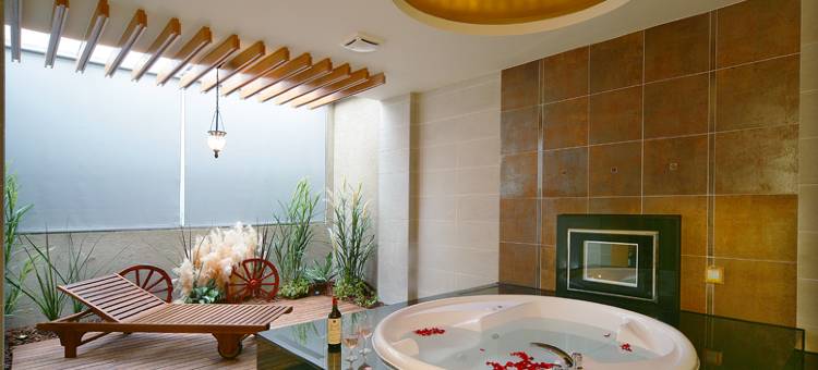 汤野精品旅馆(民雄馆)图片