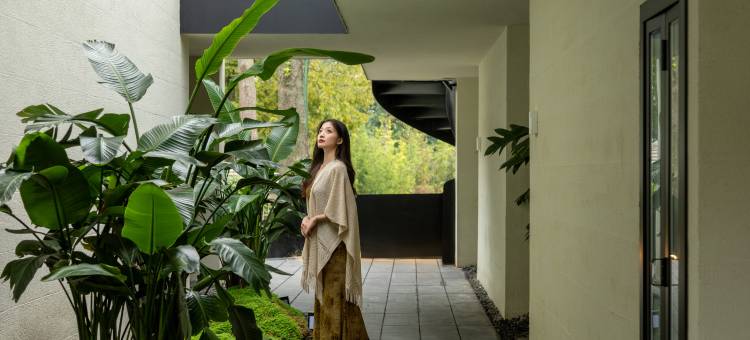 崇州竹外·香樟树下设计师野奢Villa(道明竹艺景区店)图片