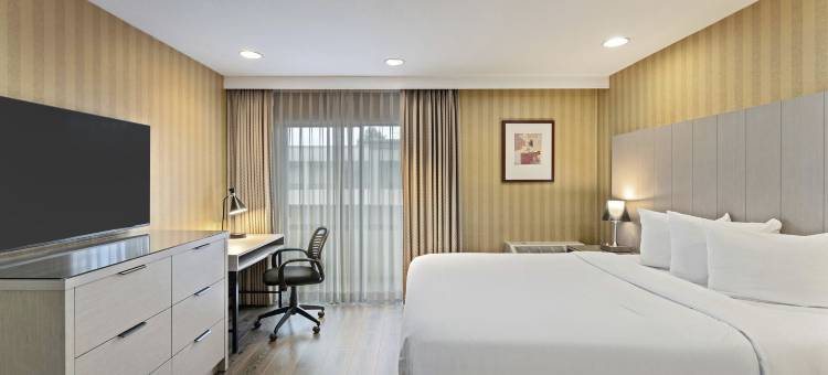 温哥华机场行政酒店(Executive Hotel Vancouver Airport)图片