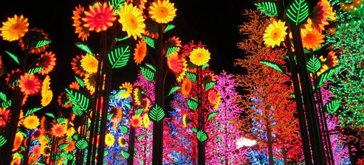 Happy Garden@I-City图片