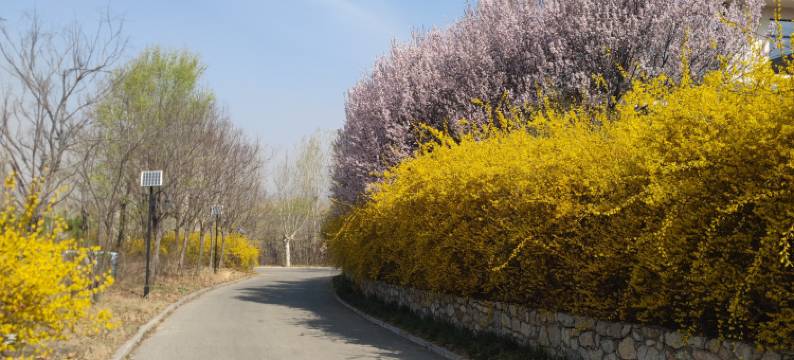 万紫千红度假酒店图片