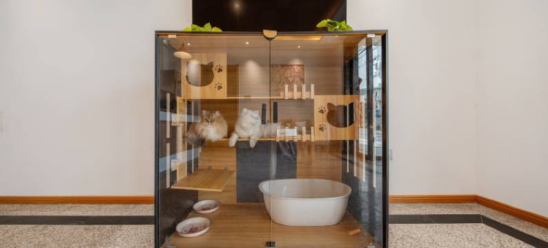 澄心·山居Villa设计师度假美宿(望仙谷景区店)图片