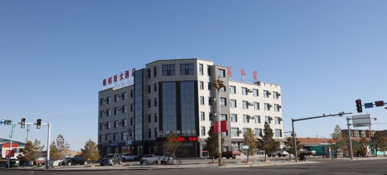 维利斯大酒店图片