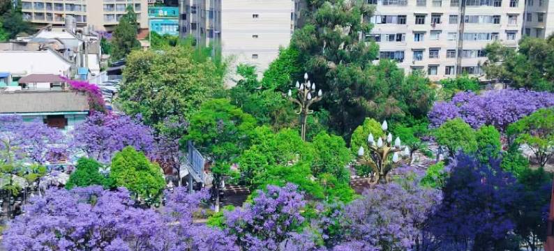 昆明红河宾馆(火车站店)图片